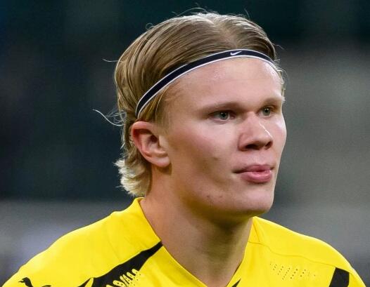 女性经销商比例2025年升至55%